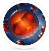 tế bào gốc mô dây rốn