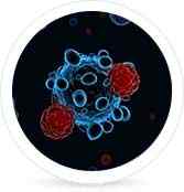 lưu trữ tế bào gốc mô dây rốn